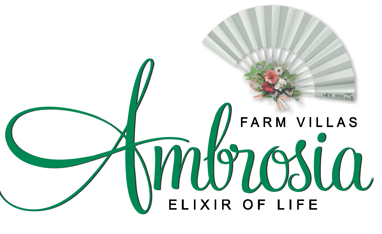 AMBROSIA